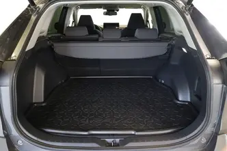 Toyota RAV4, 2.0, 129 kW, petrol, automatic, four-wheel drive