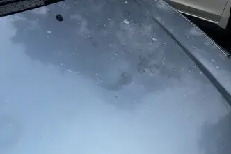 Kia Carnival, 2.9, 136 kW, дизель, механическая, передний привод
