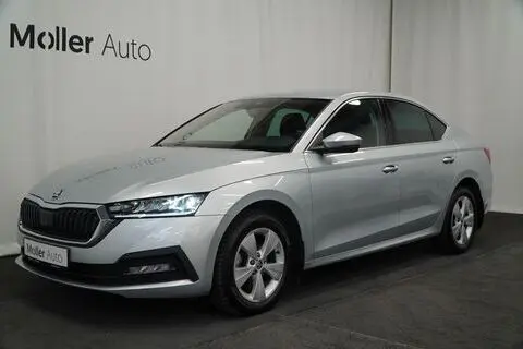 Škoda Octavia, 2023, 2.0, 110 kW, diesel, automatic, front-wheel drive