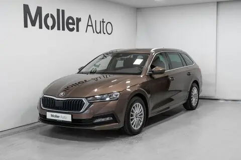 Škoda Octavia, 2021, 1.0, 81 kW, bensiin, automaat, esivedu