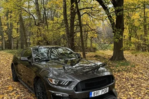 Ford Mustang, 2015, 2.3, 231 kW, бензин, автомат, задний привод
