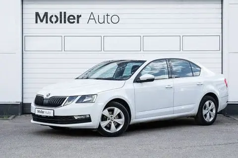 Škoda Octavia, 2020, 1.6, 85 kW, дизель, автомат, передний привод