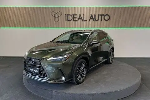 Lexus NX 450, 2023, 2.5, 136 kW, pistikhübriid b+e, automaat, nelikvedu