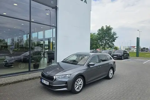 Škoda Octavia, 2024, 2.0, 110 kW, дизель, автомат, передний привод