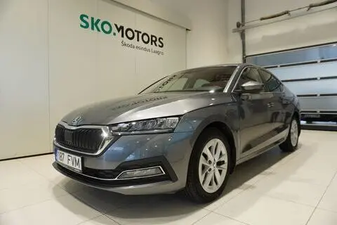 Škoda Octavia, 2022, 1.0, 81 kW, hübriid b+e, automaat, esivedu