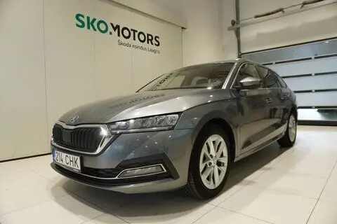 Škoda Octavia, 2022, 1.5, 96 kW, bensiin+cng, automaat, esivedu