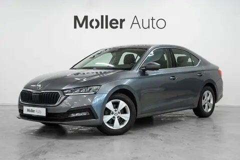 Škoda Octavia, 2022, 1.0, 81 kW, petrol, automatic, front-wheel drive