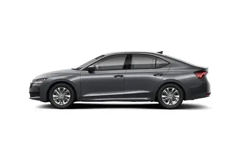 Škoda Octavia, 2.0, 110 kW, diesel, automatic, front-wheel drive