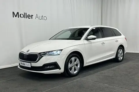 Müüa подержанный автомобиль Škoda Octavia, 2021, 2.0, 85 kW, дизель, автомат, передний привод, 776RYX, TMBJG7NX3MY192617