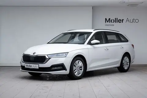 Müüa подержанный автомобиль Škoda Octavia, 2020, 2.0, 85 kW, дизель, механическая, передний привод, 947LBY, TMBJG7NXXMY016633