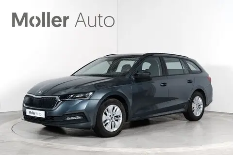 Müüa подержанный автомобиль Škoda Octavia, 2021, 2.0, 110 kW, дизель, автомат, передний привод, TMBJJ7NX8MY091705