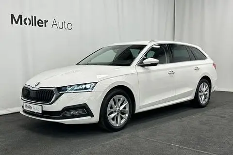 Müüa подержанный автомобиль Škoda Octavia, 2021, 2.0, 110 kW, дизель, автомат, передний привод, 246KTX, TMBJJ7NX3MY176483