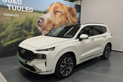 Müüa подержанный автомобиль Hyundai Santa Fe Calligraphy, 2022, 2.2, 142 kW, дизель, автомат, полный привод, 889KTX, KMHS581HHNU435991