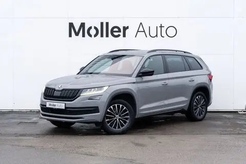 Müüa подержанный автомобиль Škoda Kodiaq, 2019, 2.0, 140 kW, дизель, автомат, полный привод, 029098, TMBLE9NS6L8029098