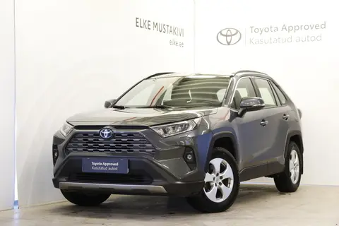 Toyota RAV4, 2023, 2.5, 131 kW, hybrid p+e, automatic, front-wheel drive