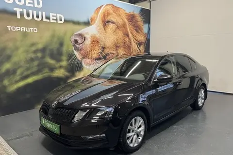 Škoda Octavia, 2020, 1.5, 110 kW, бензин, автомат, передний привод