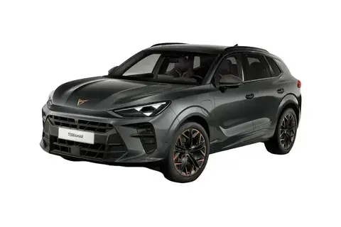 Cupra Terramar, 1.5, 110 kW, petrol, automatic, front-wheel drive