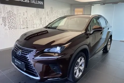 Lexus NX 300h, 2018, 2.5, 114 kW, гибрид б+э, автомат, полный привод