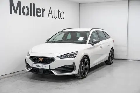 Cupra Leon, 2023, 2.0, 81 kW, bensiin, automaat, esivedu