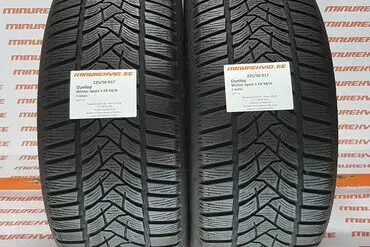 Kasutatud lamellrehv 225/50R17 Dunlop Winter Sport 5 FR 94/H