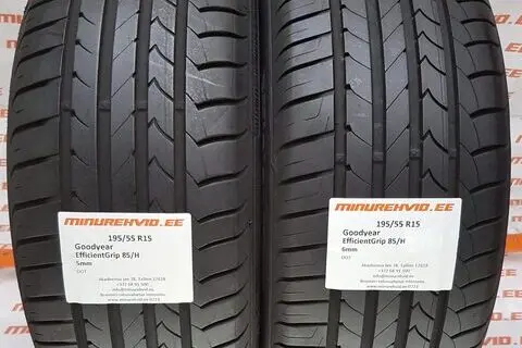 Kasutatud suverehv 195/55R15 GoodYear EfficientGrip 85/H