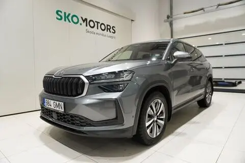 Škoda Kodiaq, 2024, 2.0, 110 kW, diisel, automaat, esivedu