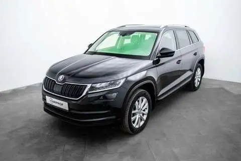 Škoda Kodiaq, 2019, 2.0, 110 kW, diisel, automaat, nelikvedu