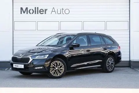 Škoda Octavia, 2021, 2.0, 85 kW, diisel, automaat, esivedu