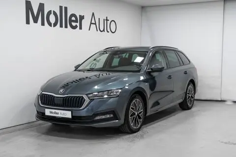Škoda Octavia, 2022, 2.0, 85 kW, diisel, automaat, esivedu