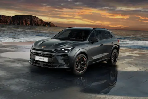 Cupra Terramar, 2025, 2.0, 195 kW, petrol, automatic, four-wheel drive