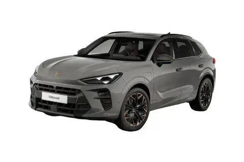 Cupra Terramar, 2024, 2.0, 195 kW, bensiin, automaat, nelikvedu