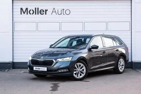 Škoda Octavia, 2020, 2.0, 110 kW, diesel, automatic, front-wheel drive