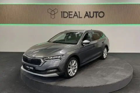 Škoda Octavia, 2022, 2.0, 140 kW, bensiin, automaat, nelikvedu